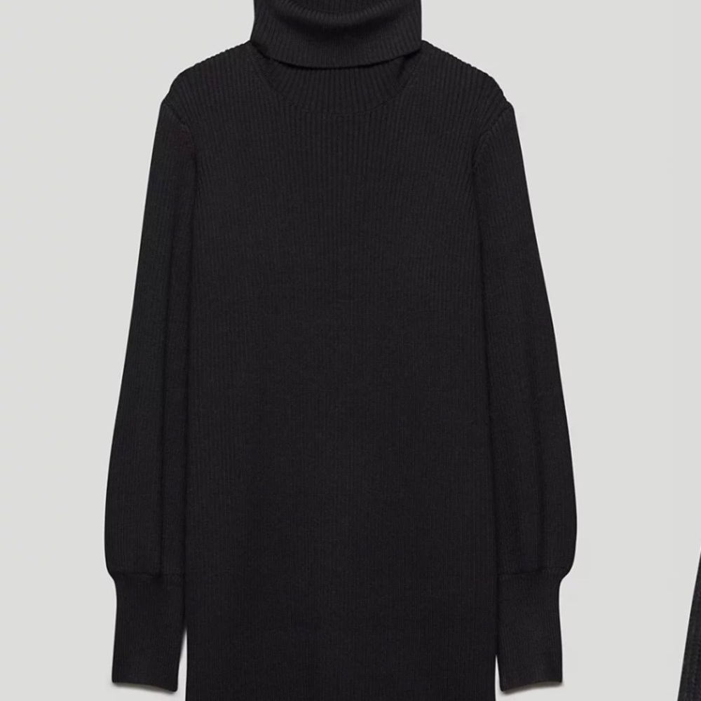 aritzia Wilfred Rebecca dress